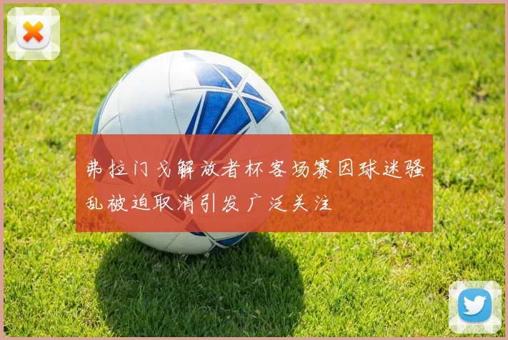 弗拉门戈解放者杯客场赛因球迷骚乱被迫取消引发广泛关注